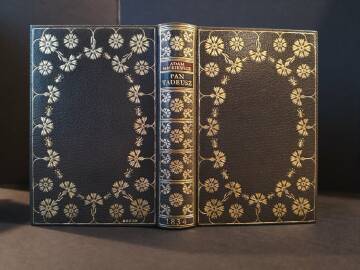 Nowe życie Pana Tadeusza